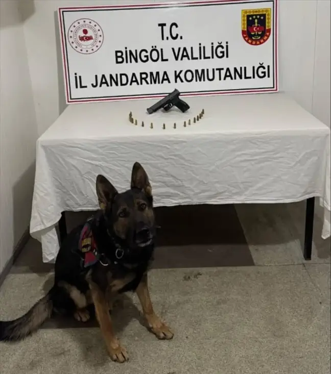 Bingöl'de 3 Aranan Şahıs Yakalandı, 2 Tabanca Ele Geçirildi