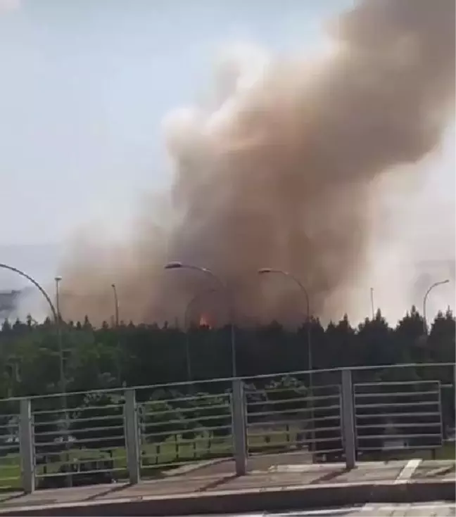 Diyarbakır Havalimanı'nın Yanındaki Ormanda Yangın Çıktı