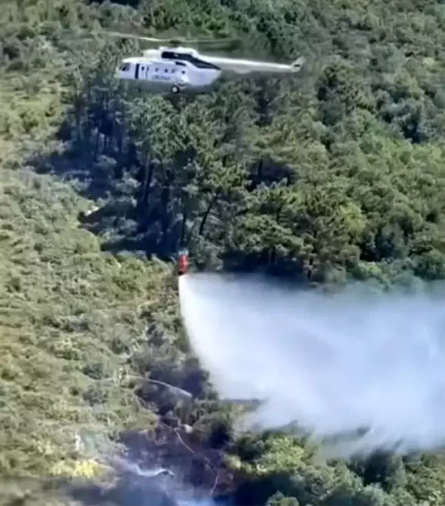 Beykoz'da Ormanlık Alanda Yangın Çıktı