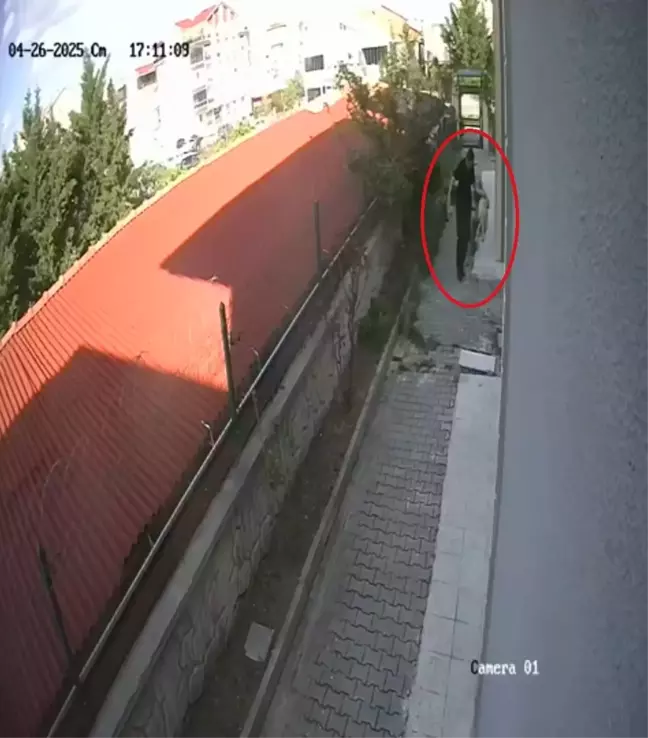 Ankara'da Sokak Köpeklerine Kasten Zarar Veren Doktor Tutuklandı