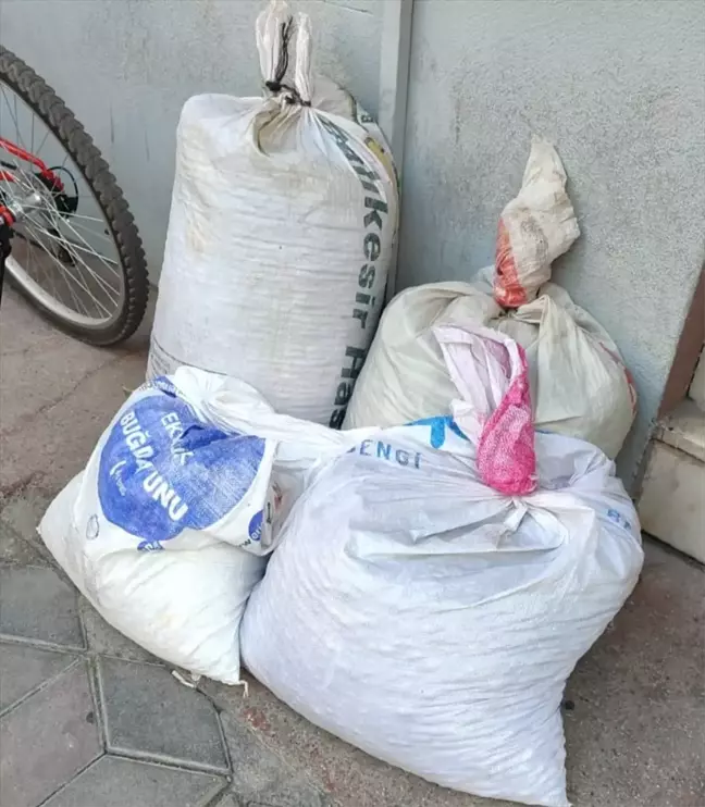Edremit'te Zeytin Hırsızlığı Yapan 3 Şüpheli Tutuklandı