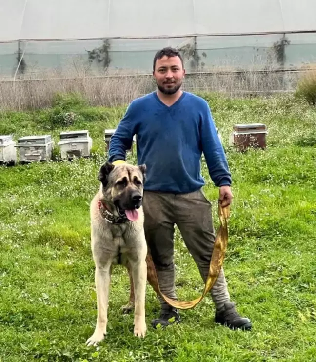 Antalya'da Denize Atlarken Ağır Yaralanan Genç Hayatını Kaybetti