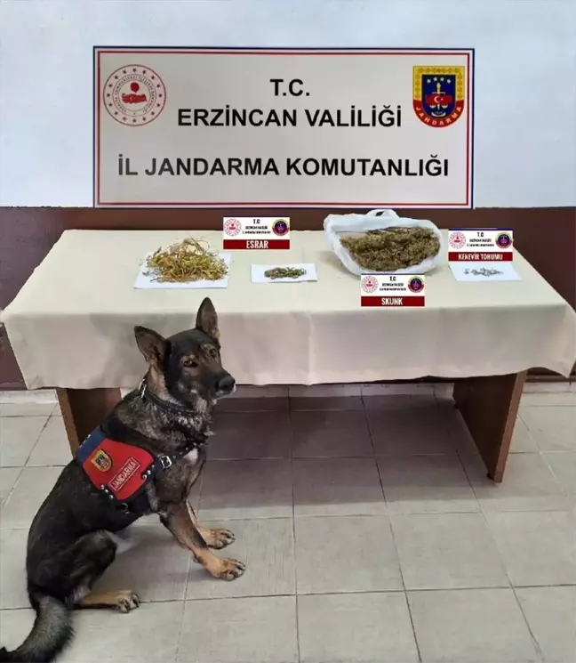 Erzincan'da Asayiş ve Trafik Denetimlerinde 157 Şüpheli Yakalandı