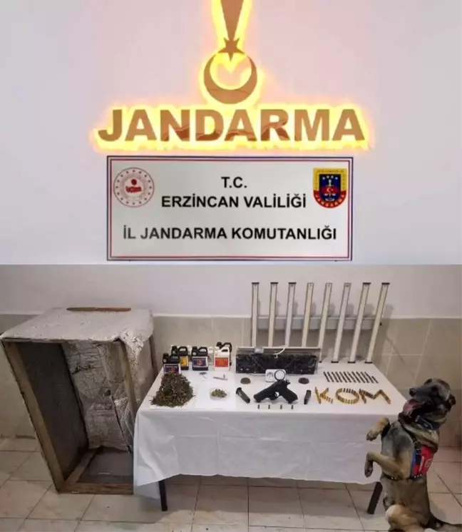 Erzincan'da Uyuşturucu Yetiştiricisi Yakalandı