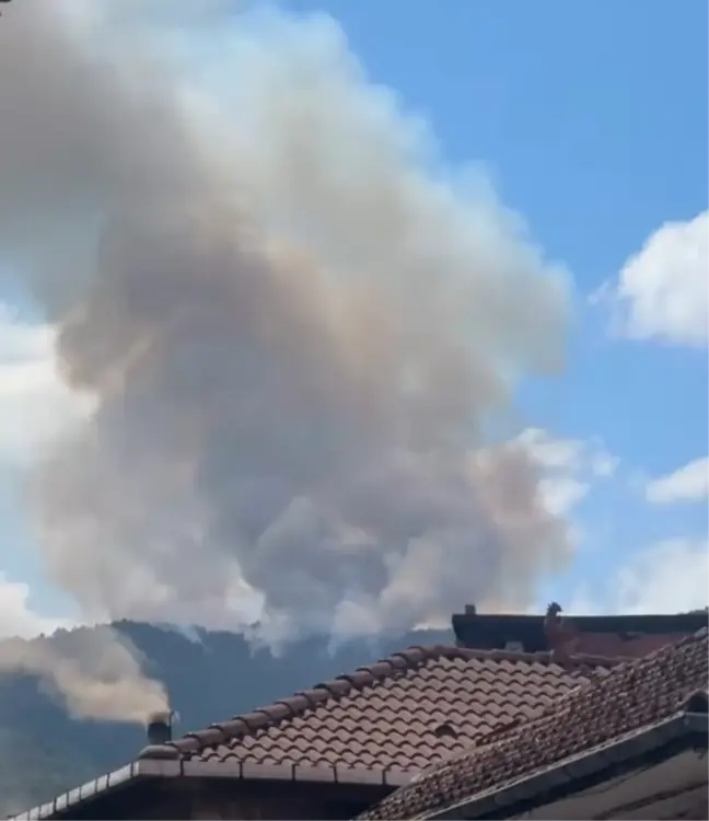 Zonguldak'ta Orman Yangını Çıktı