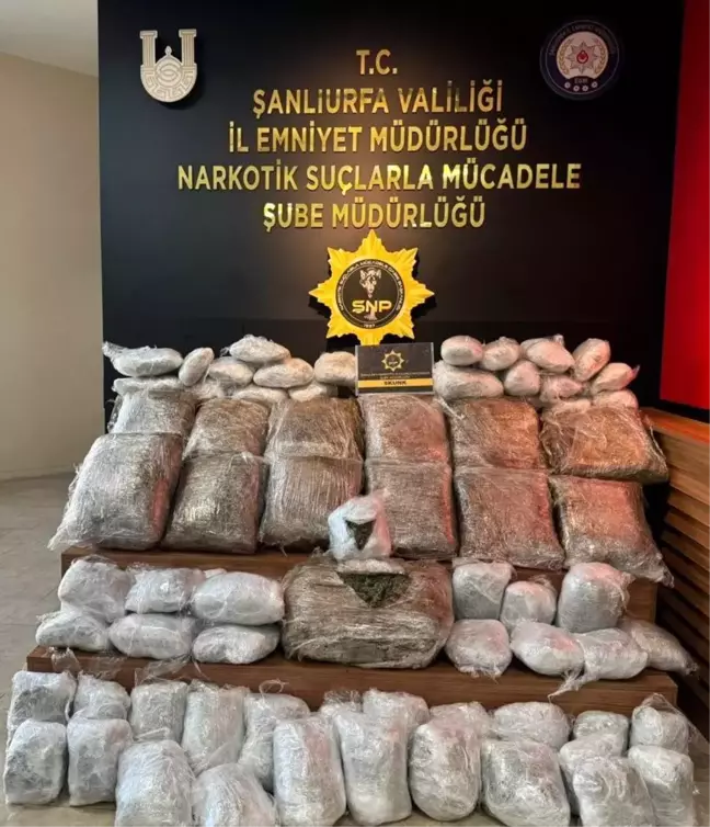 Şanlıurfa'da 76 Kilo Skunk Ele Geçirildi