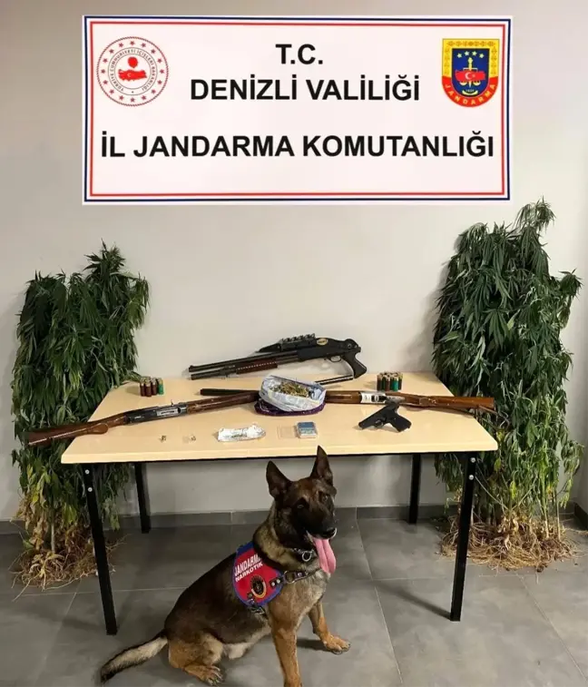 Denizli'de Hint keneviri yetiştiricisine operasyon