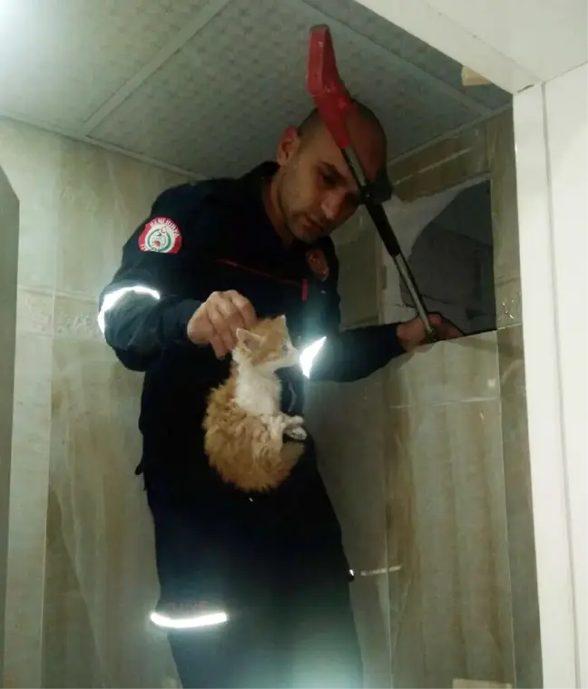 Binanın Havalandırma Boşluğunda Sıkışan Kediler Kurtarıldı
