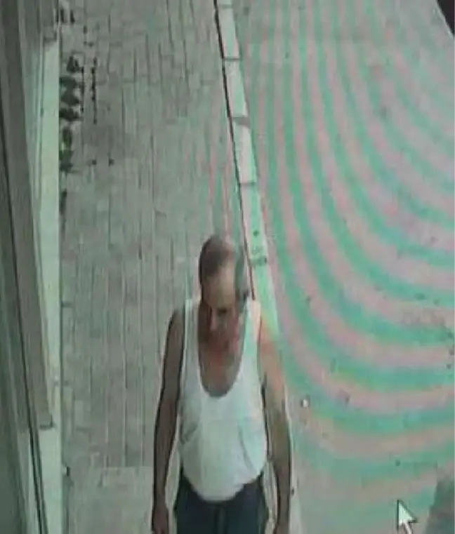 Dilek Mamalı Cinayeti Davasına 'Avukat' Ertelemesi