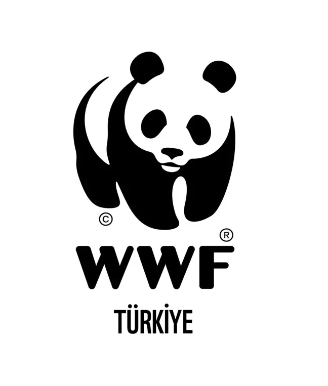 WWF-Türkiye'nin Panda Takımı Yardımseverlik İçin Koşacak