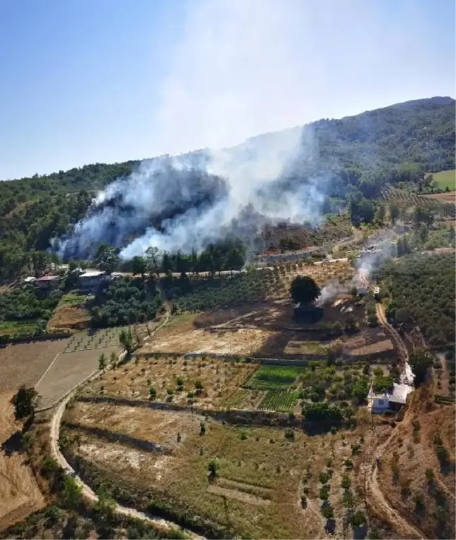 Antalya'da orman yangını (1)