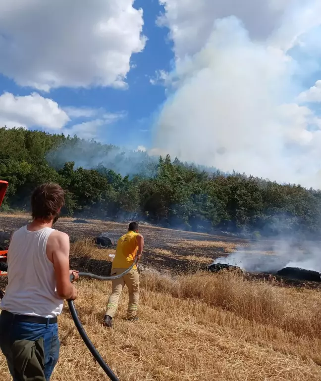 Keşan'da Balya Makinesi Yangını Ormana Sıçradı