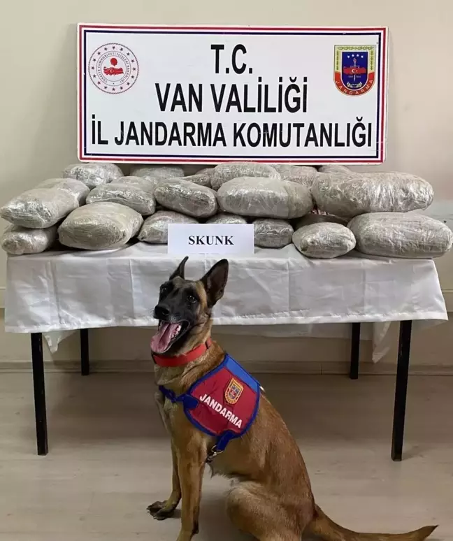 VAN'da 28 Kilo Skunk Ele Ge geçirildi