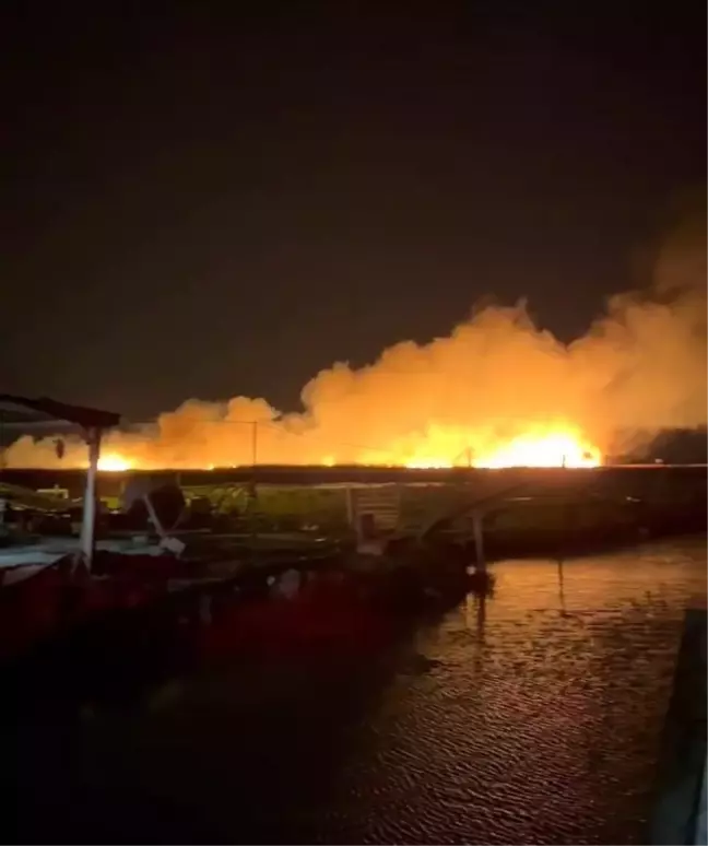 Mersin'in Göksu Deltası'nda Sazlık Yangını