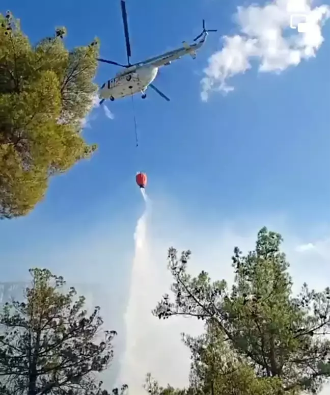 Çorum'un Kargı ilçesinde orman yangını çıktı