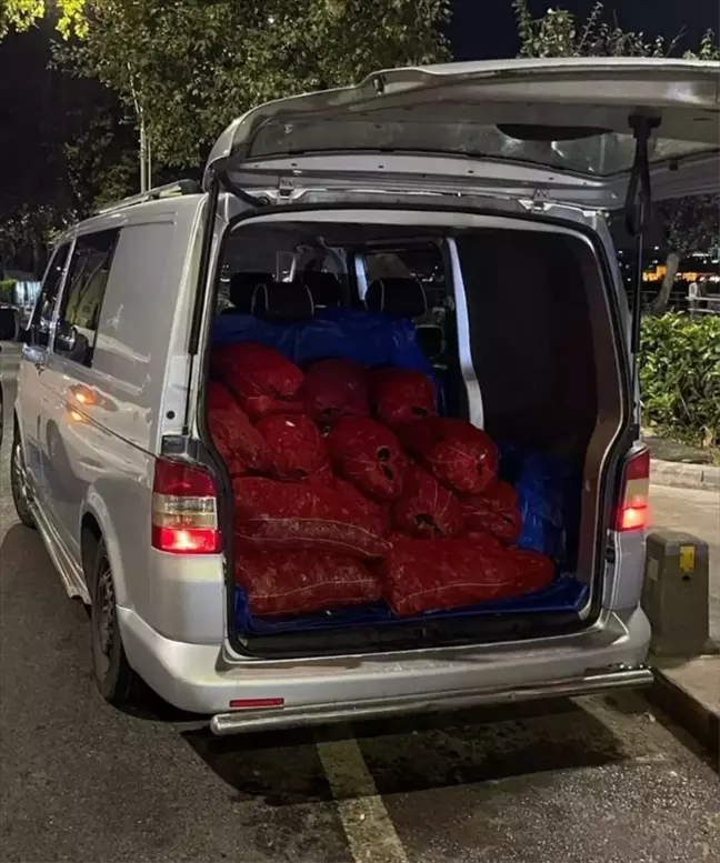 Üsküdar'da Kaçak Midye Ele Geçirilen Araç Sürücüsüne Para Cezası Verildi