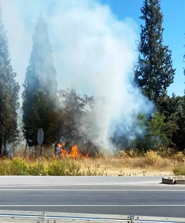 Muğla'da Stratonikeia Yakınlarında Orman Yangını Kontrol Altına Alındı