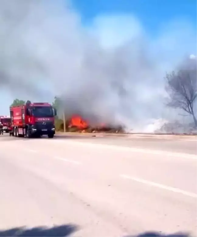 Kartepe'de yol kenarında çıkan yangın itfaiye ekipleri tarafından söndürüldü