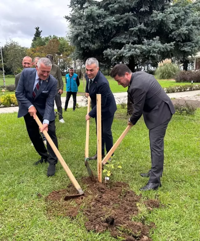 Yomra Belediyesi 5 Bininci Elma Fidanını Toprakla Buluşturdu