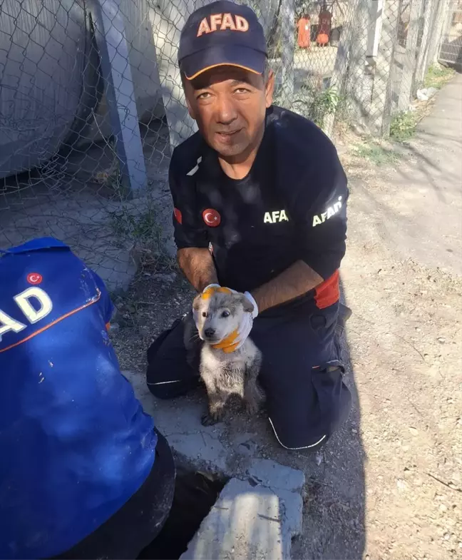 Eskişehir'de kuyuya düşen köpek yavrusu kurtarıldı