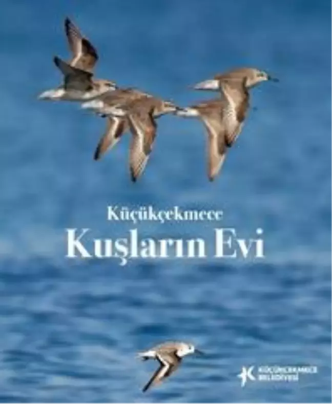 Küçükçekmece Belediyesinden, 'Küçükçekmece kuşların evi' eseri