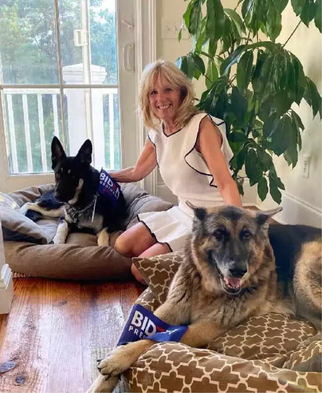 ABD Başkanı Biden'ın köpeği 'Major' Beyaz Saray'ı birbirine kattı