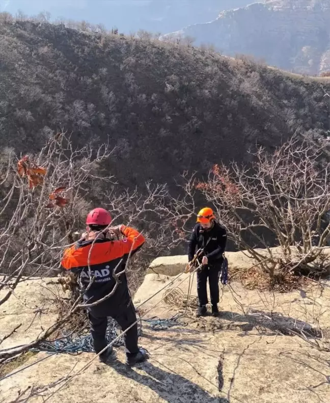 Siirt'te Mahsur Kalan 3 Keçi Kurtarıldı