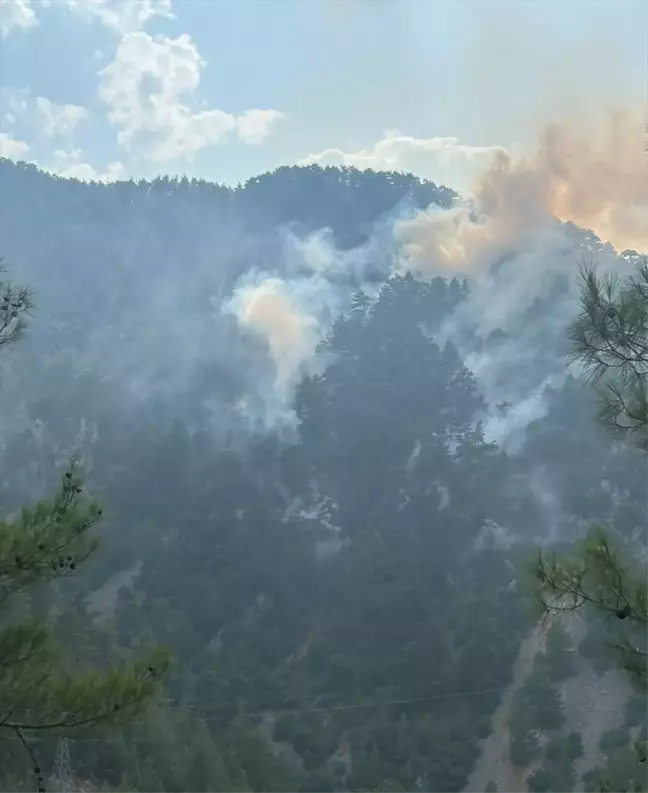 Adana'nın Feke ilçesinde orman yangını kontrol altına alındı