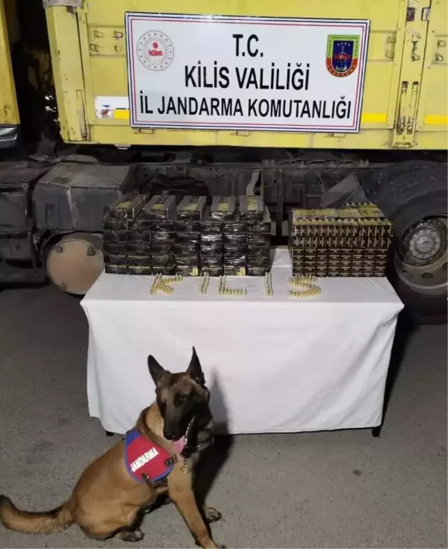Sınır kapısında, TIR'da 33 bin mermi ele geçirildi