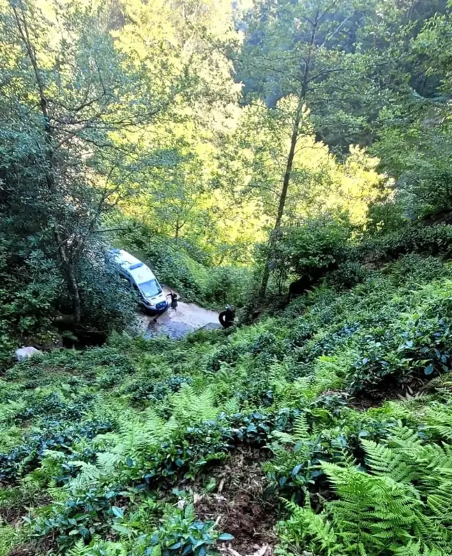 Rize'de çay keserken düşen bir kişi yaralandı