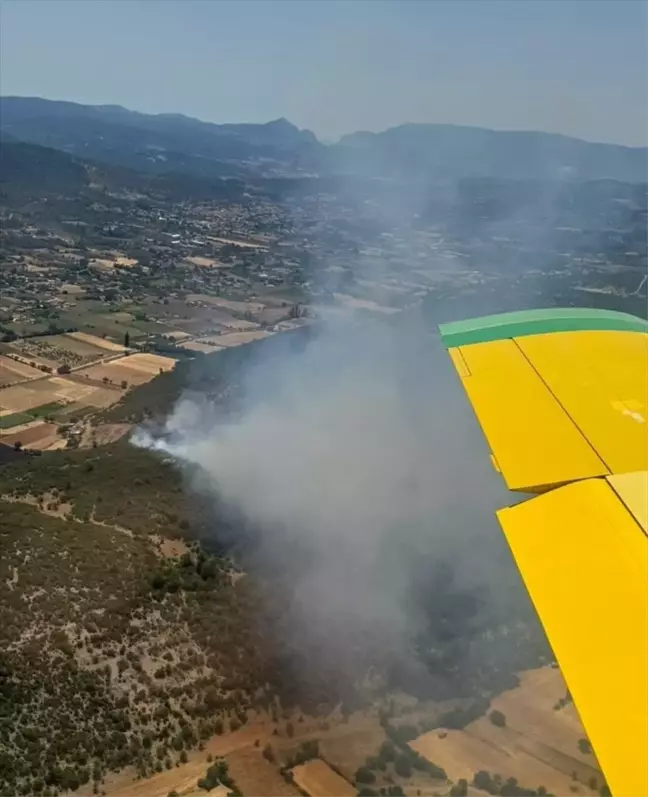 Muğla'da Orman Yangını Havadan ve Karadan Söndürüldü