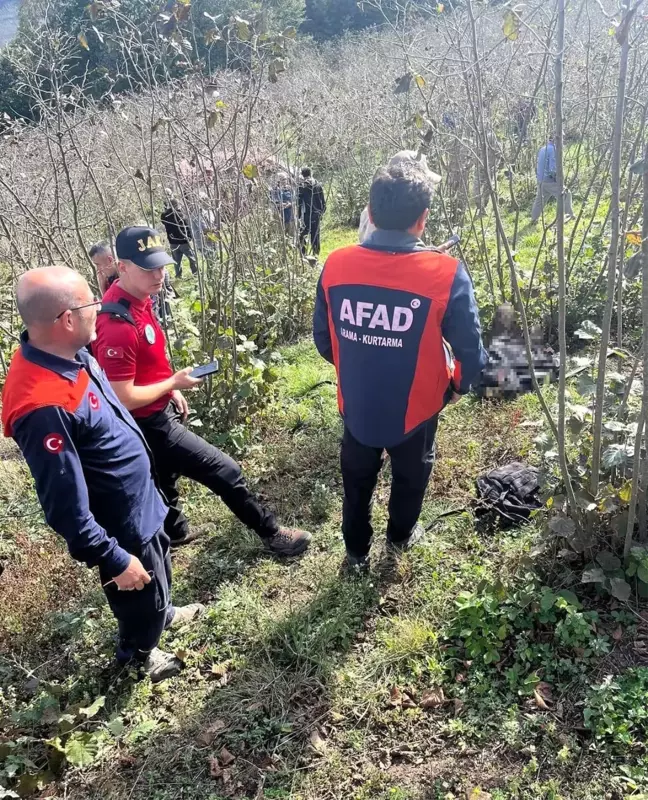 Ordu'da Fındık Bahçesinde 78 Yaşındaki Adamın Cesedi Bulundu