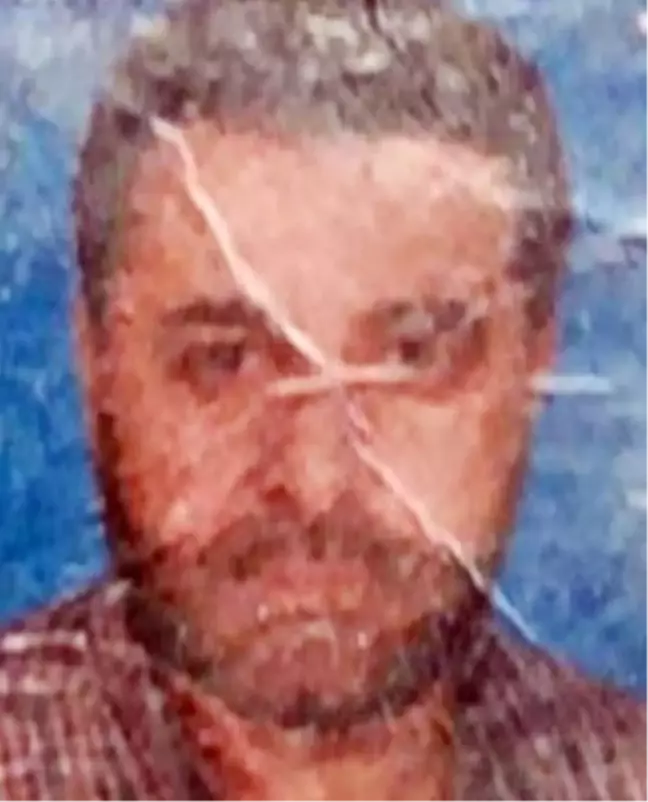 Kocaeli'de Otomobil ile Hafif Ticari Araç Çarpıştı: 2 Ölü, 1 Yaralı