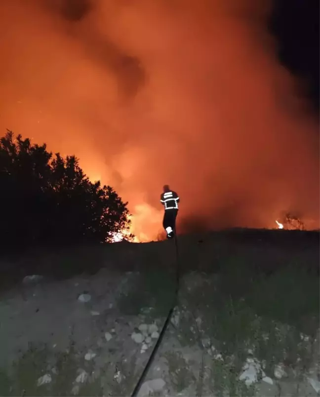 Antakya'daki Orman Yangını Büyümeden Söndürüldü