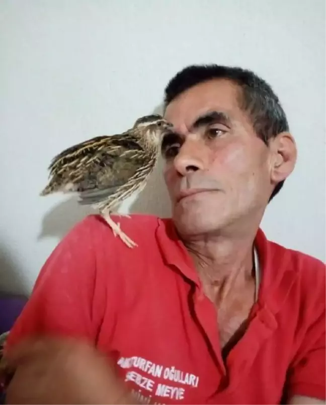 Mersin'de sahte içkiden ölü sayısı 2'ye yükseldi
