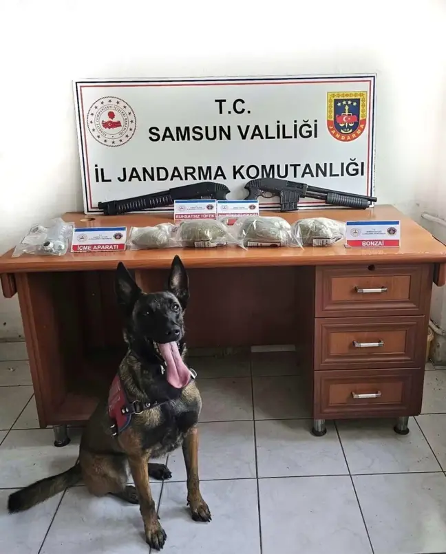 Samsun'da 3 Kilo Bonzai Ele Geçirildi, 3 Kişi Gözaltına Alındı