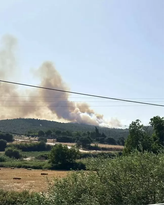 Çanakkale'nin Biga ilçesinde çıkan orman yangını kontrol altına alındı