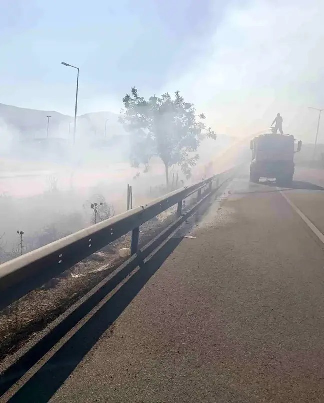 Hatay'ın Arsuz ilçesinde ot yangını söndürüldü