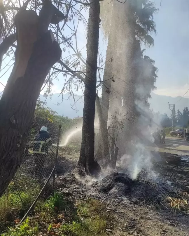 Hatay'da Otluk Alanda Yangın: İtfaiye Ekipleri Müdahale Etti