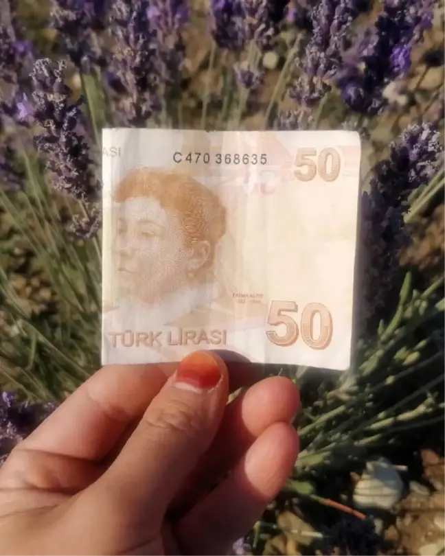 Tarlada çalışan kadın işçilere dondurma alınması için 50 lira bıraktı