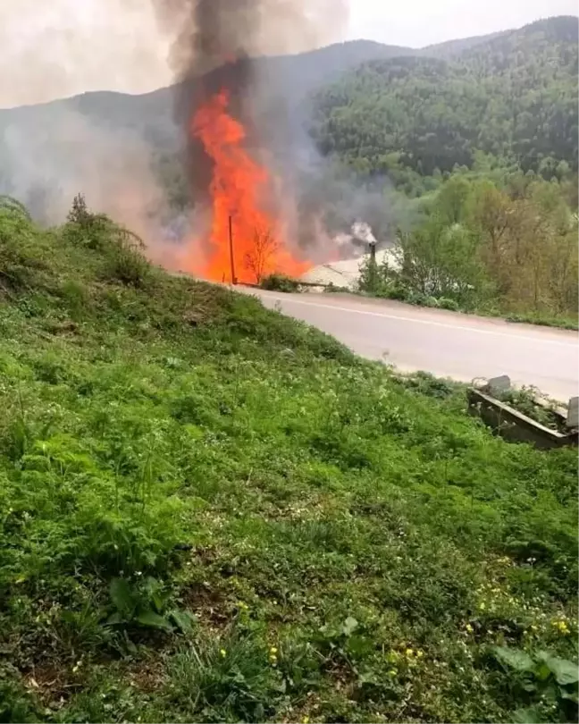 Sinop'un Ayancık ilçesinde çıkan yangında 2 ev kül oldu