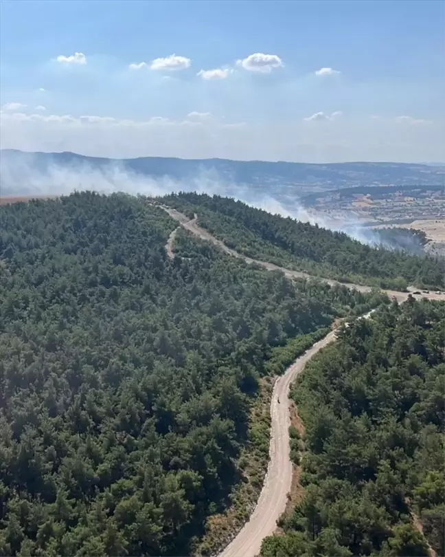 Balıkesir Bigadiç'te çıkan orman yangını kontrol altına alındı