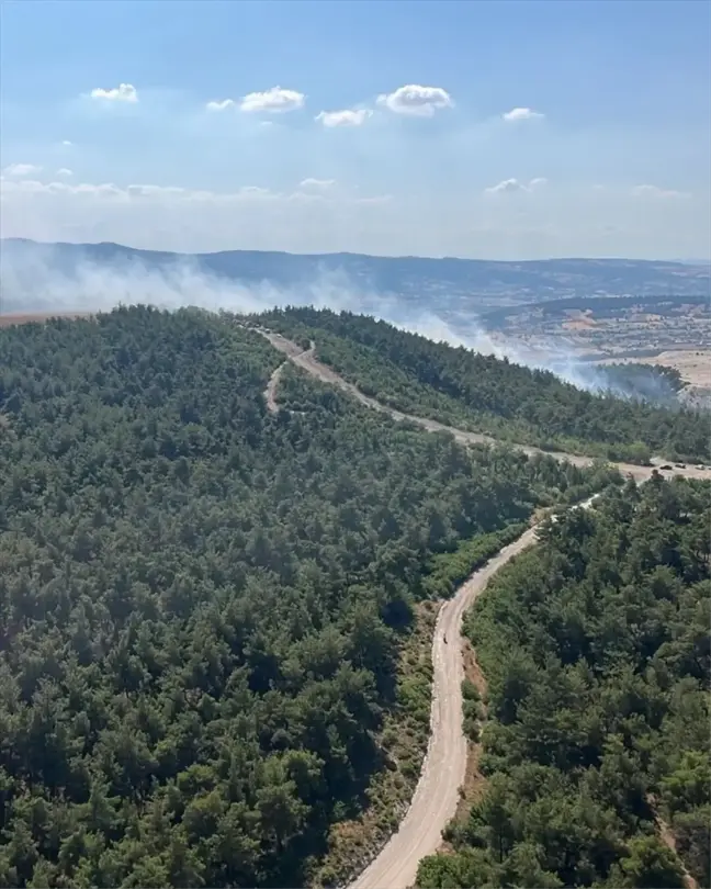 Balıkesir'in Bigadiç ilçesinde orman yangını çıktı