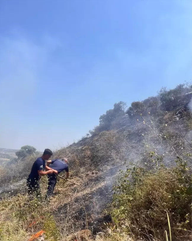 Hatay'da çıkan yangınlar itfaiye ekiplerince söndürüldü