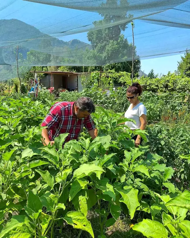 Ortaca İlçe Tarım ve Orman Müdürlüğü, TAKE projesi ile bitkisel üretimi ve yerel tarımı destekliyor