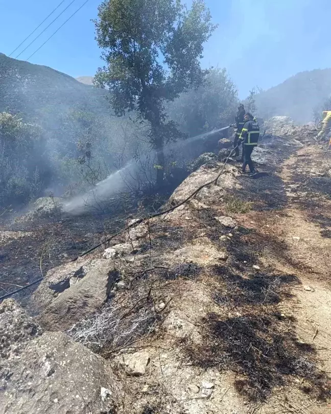 Hatay'ın Yayladağı ilçesinde orman yangını söndürüldü