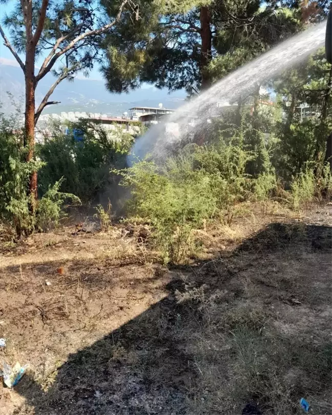 İskenderun'da çıkan bahçe yangını söndürüldü