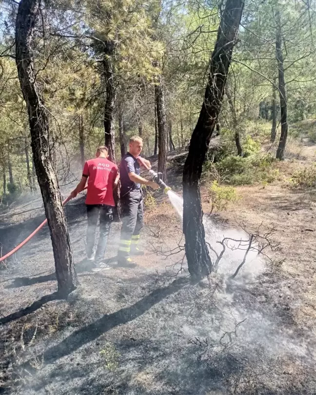 Hatay'ın Yayladağı ilçesinde orman yangını kontrol altına alındı