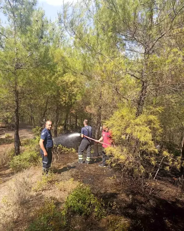 Hatay'da ormanlık alanda çıkan yangın kontrol altına alındı