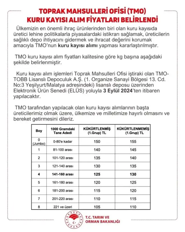 Tarım ve Orman Bakanlığı, TMO'nun Kuru Kayısı Alımı Yapacağını Duyurdu